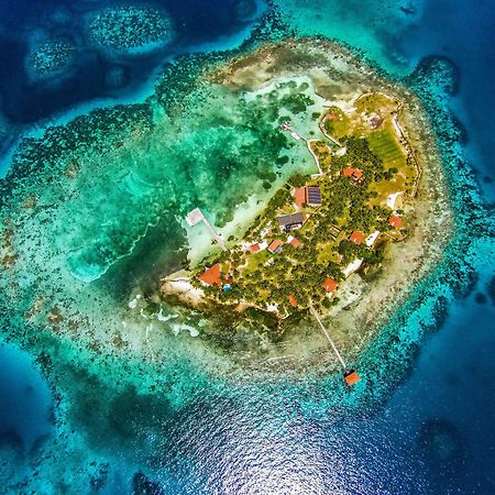 Hatchet Caye Island Resort (Adults Only) Placencia Extérieur photo