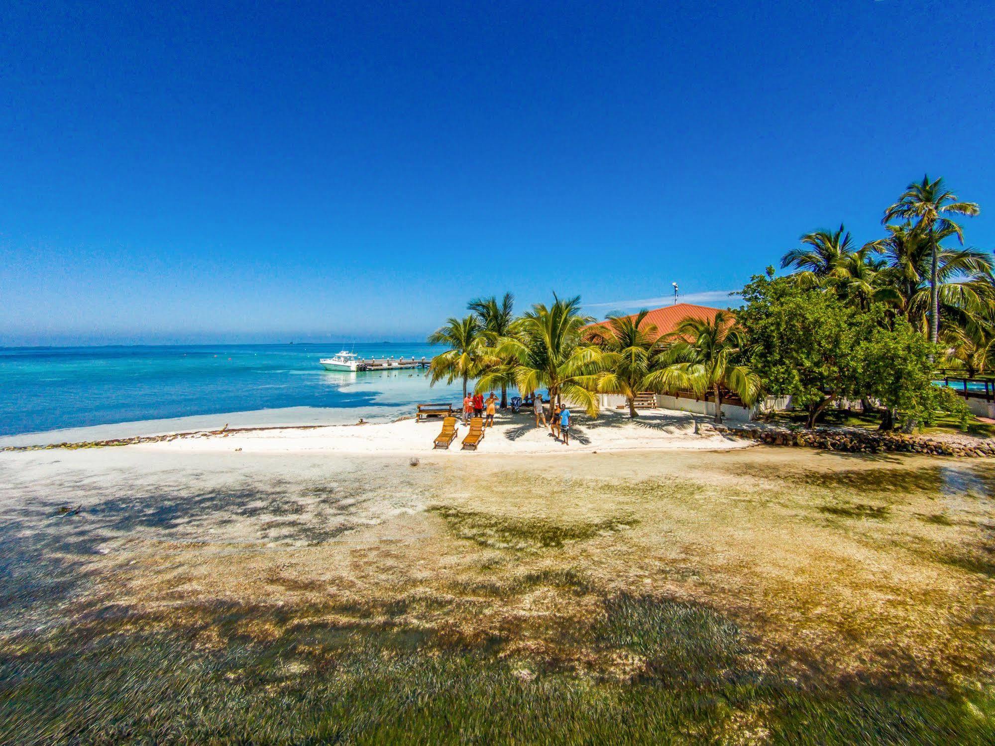 Hatchet Caye Island Resort Placencia Extérieur photo